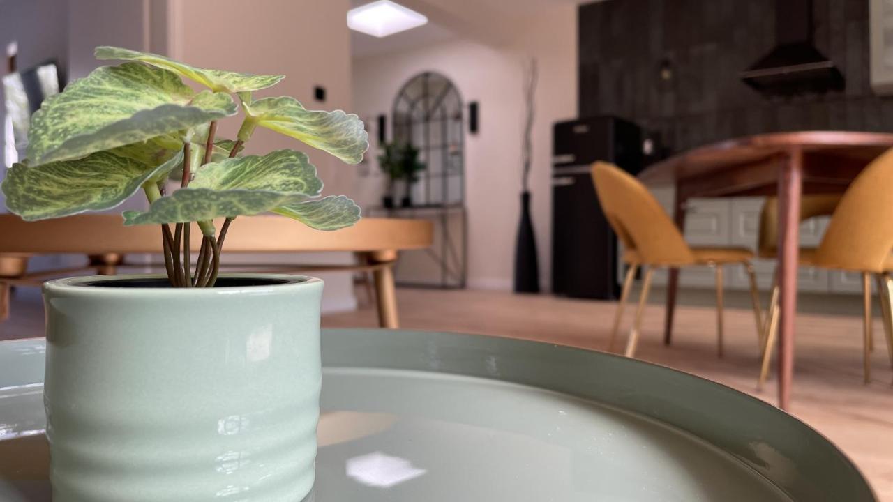 Malis-Ferienhaus Bad Harzburg Kültér fotó